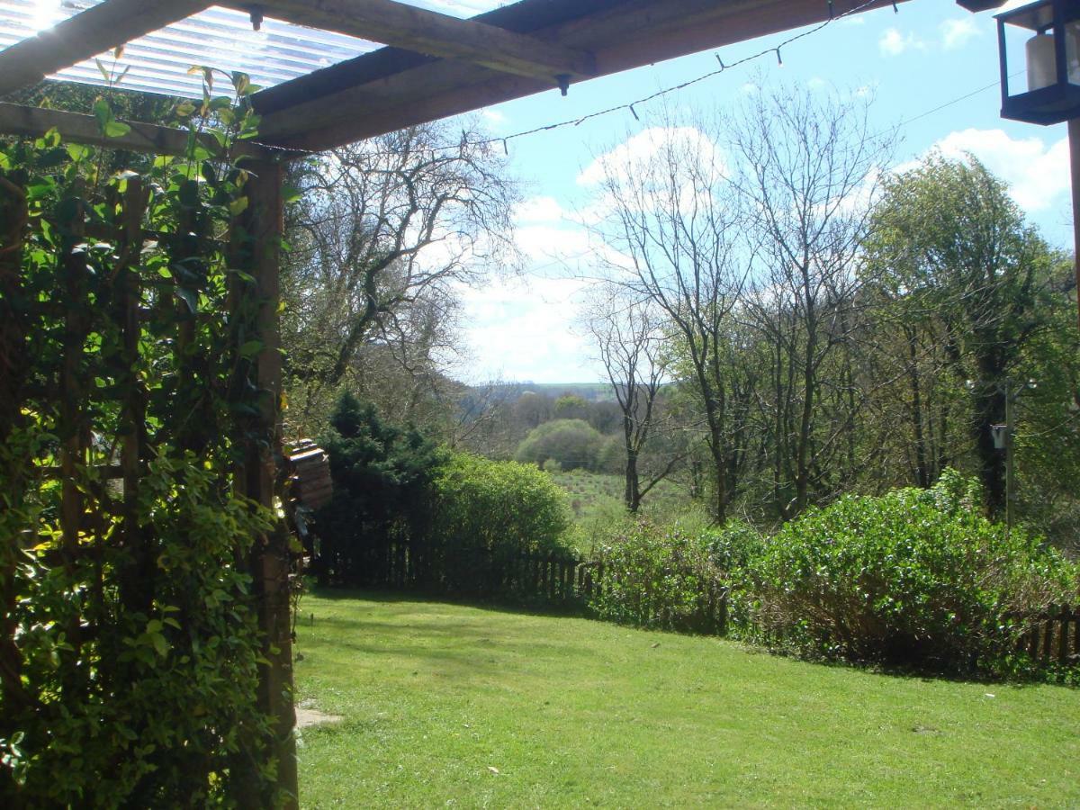 'Morris' The Shepherd'S Hut And Woodland Hot Tub Experience Carmarthen Exterior photo