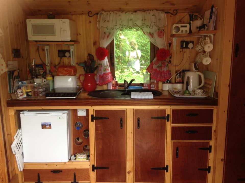 'Morris' The Shepherd'S Hut And Woodland Hot Tub Experience Carmarthen Exterior photo