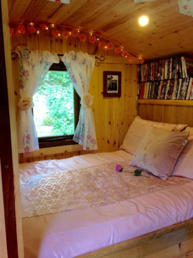 'Morris' The Shepherd'S Hut And Woodland Hot Tub Experience Carmarthen Exterior photo